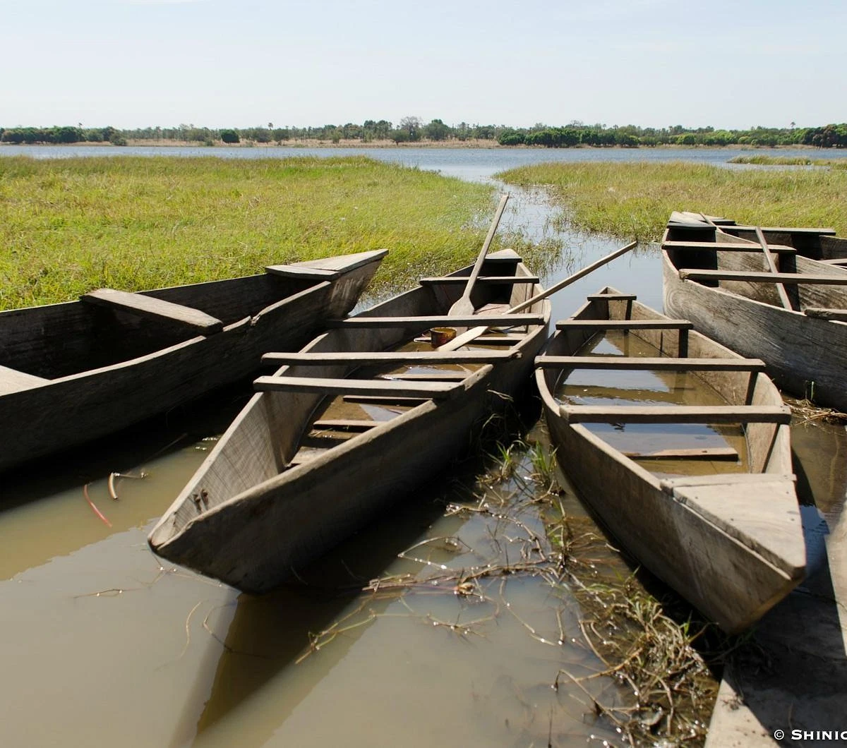 Mare aux Hippopotames