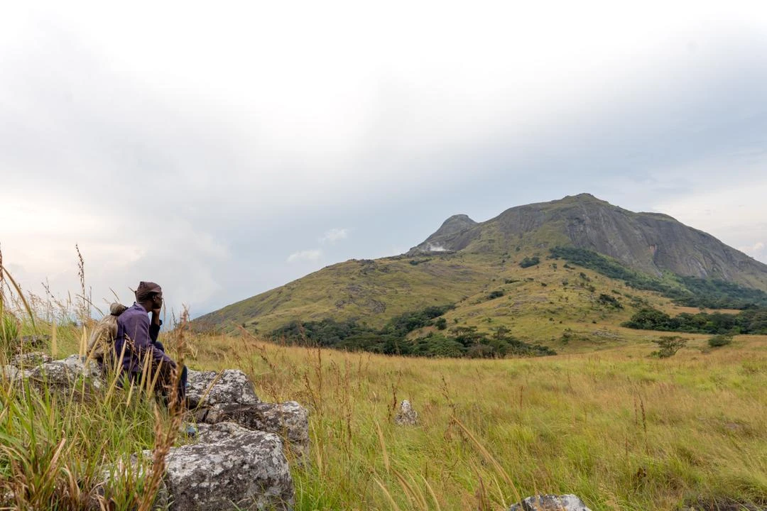 Tingi Hills
