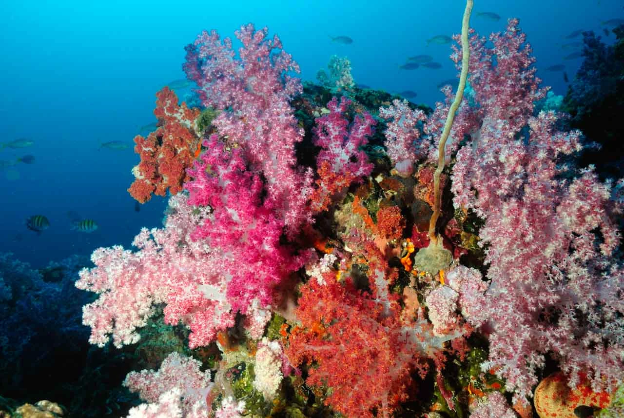 Seven Brothers Islands