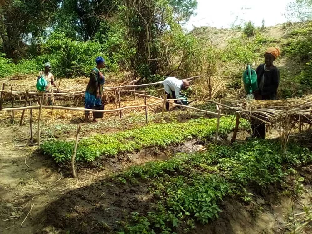 Missahoé