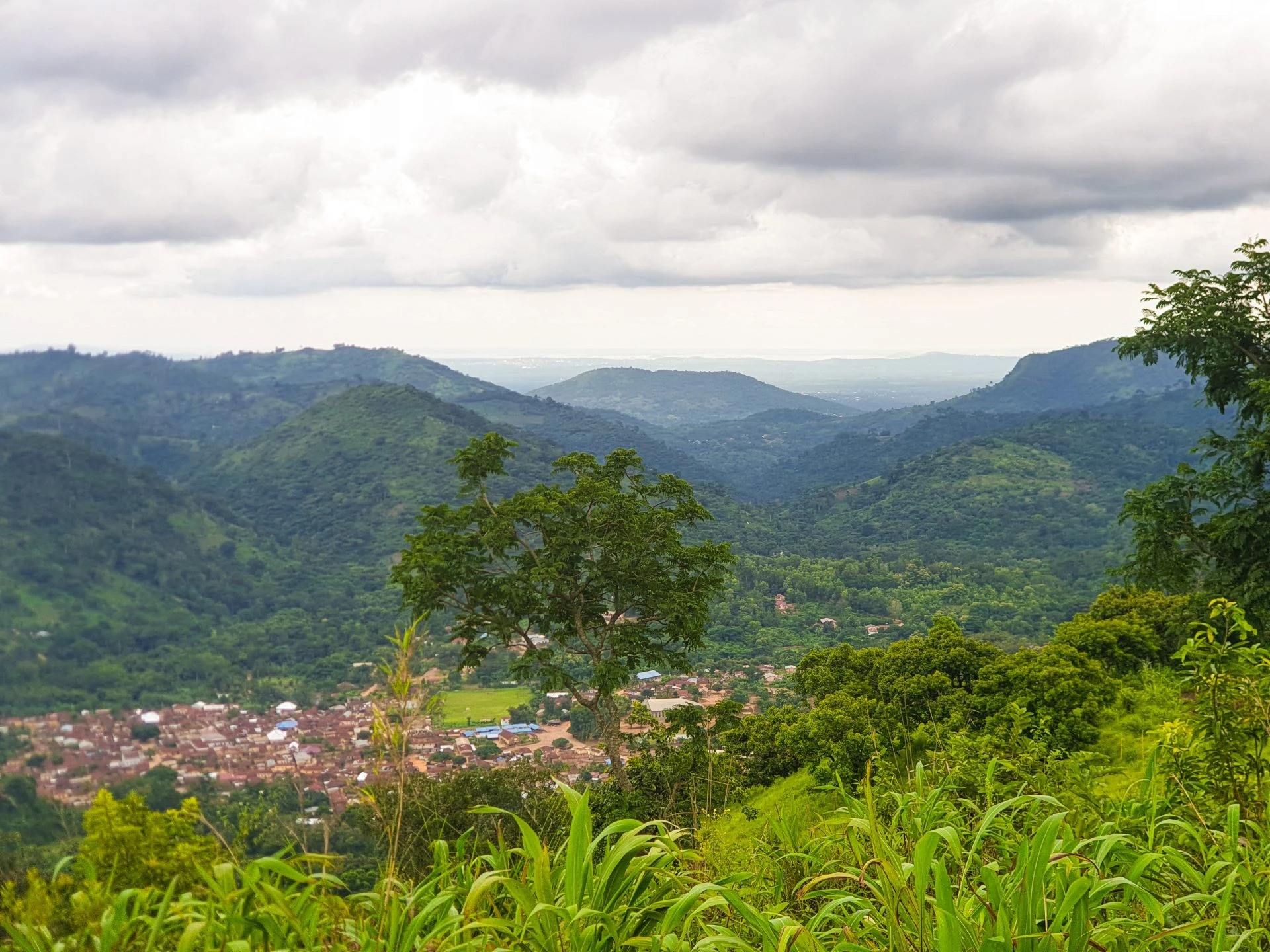 Assoukoko