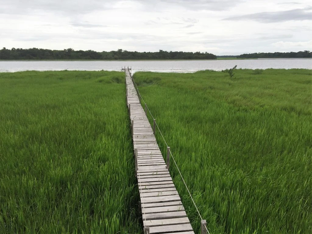 Lagoas de Cufada