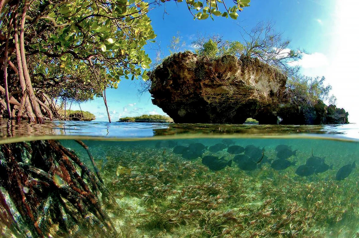 Aldabra Atoll