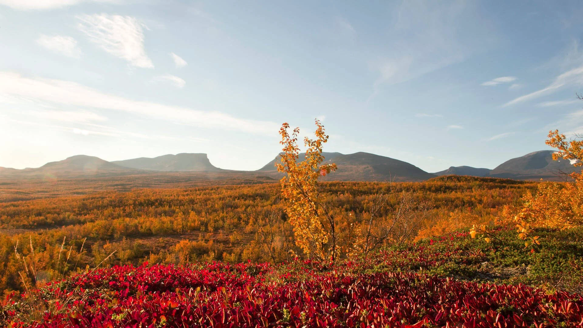 Abisko