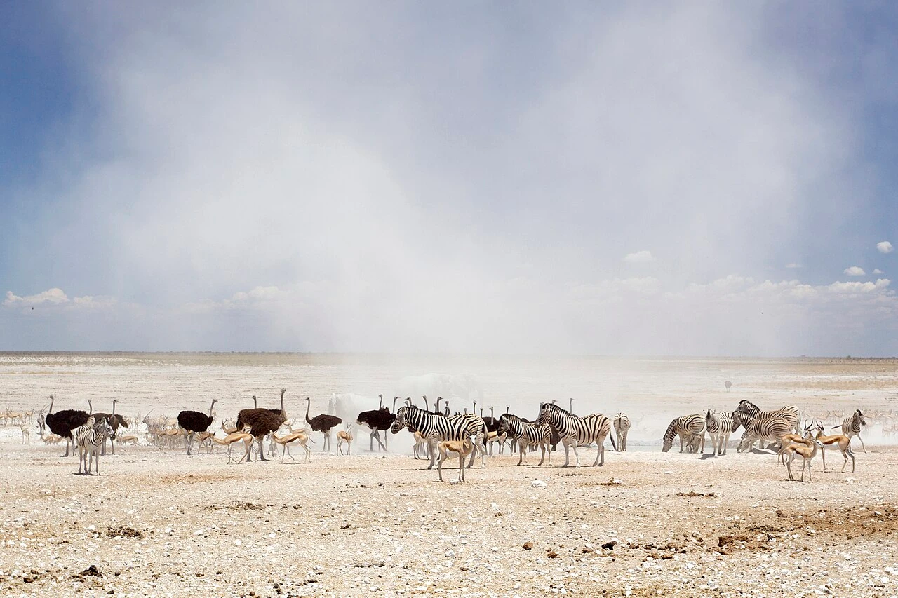 Etosha