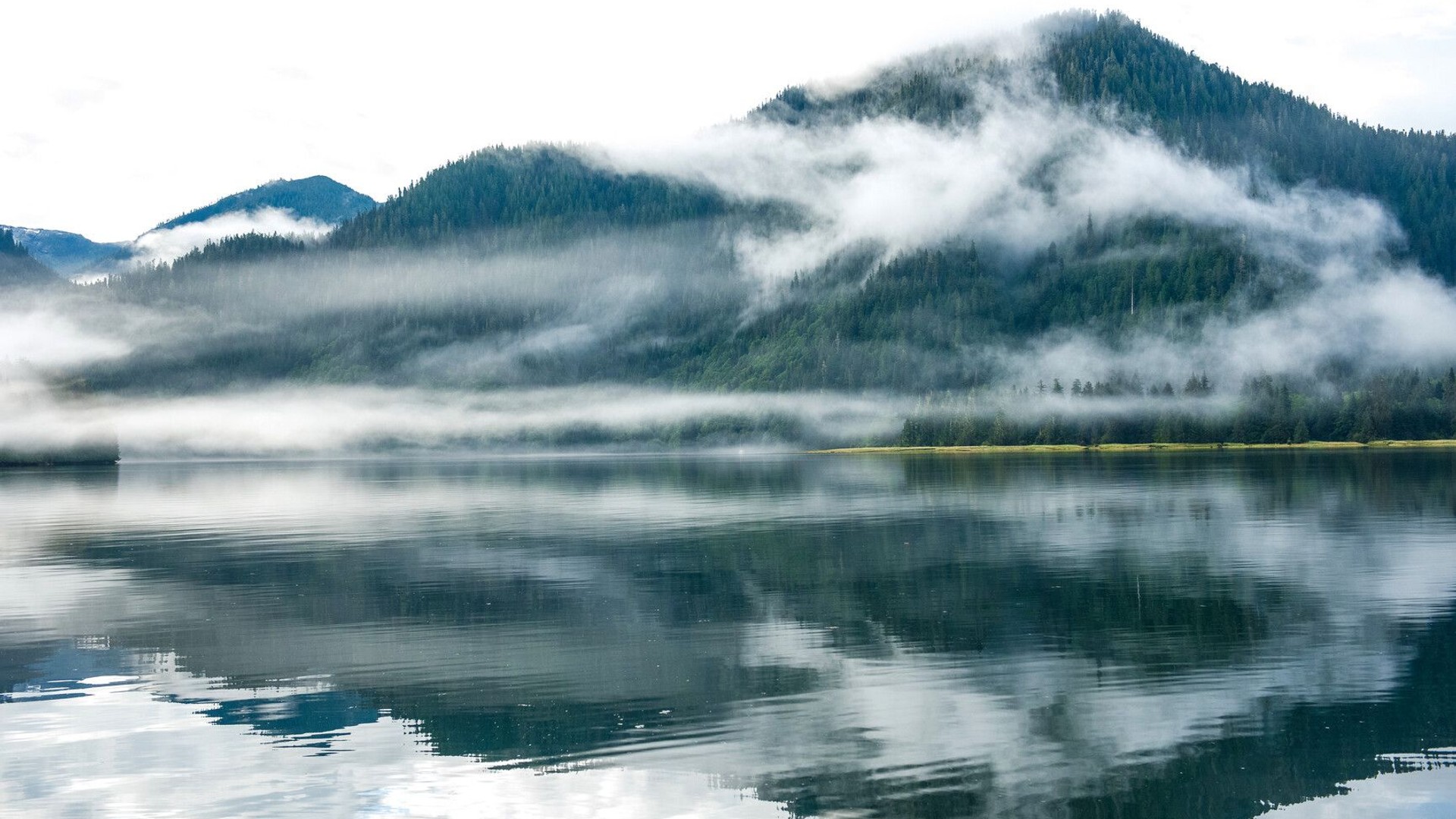 Khutzeymateen/K'tzim-A-Deen Grizzly Sanctuary