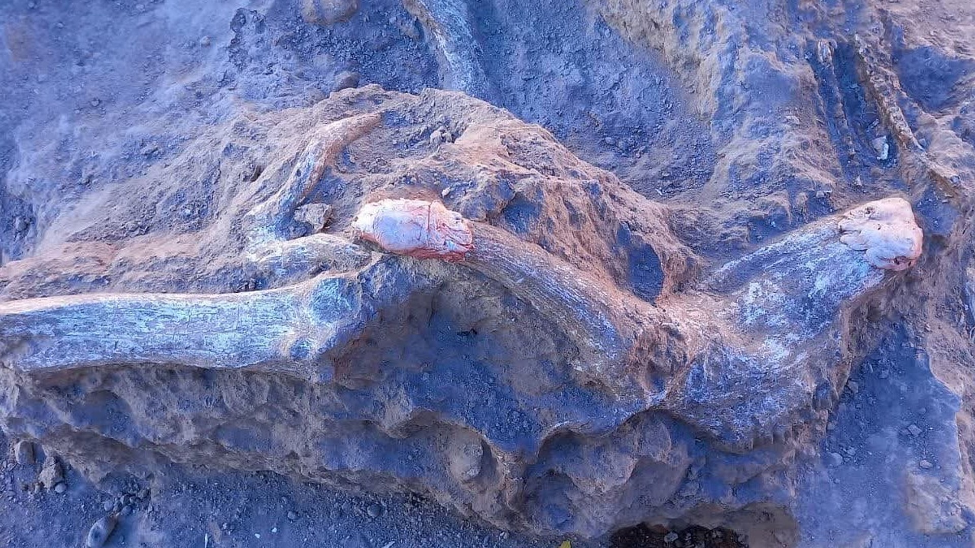 Maragheh Fossil Region