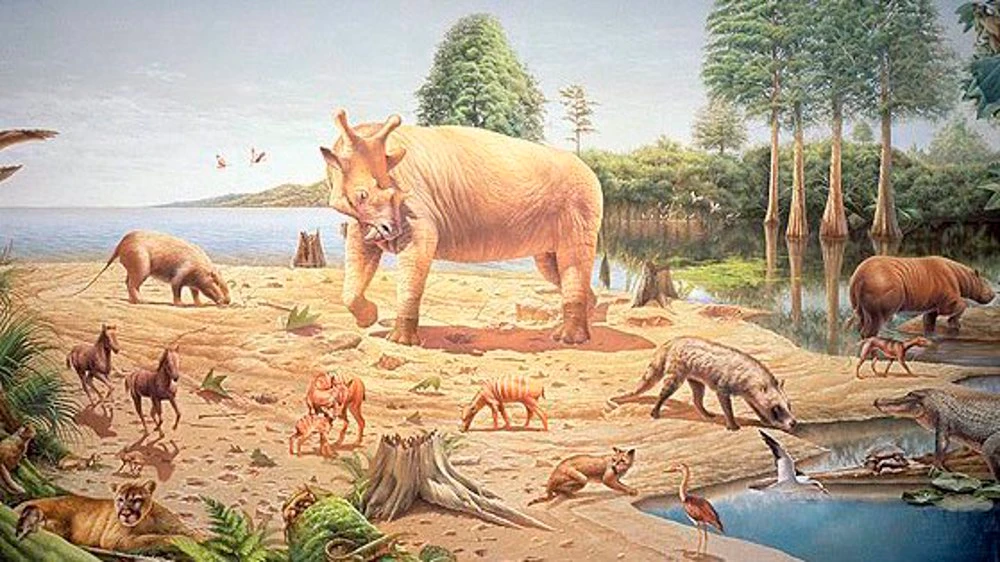 Maragheh Fossil Region