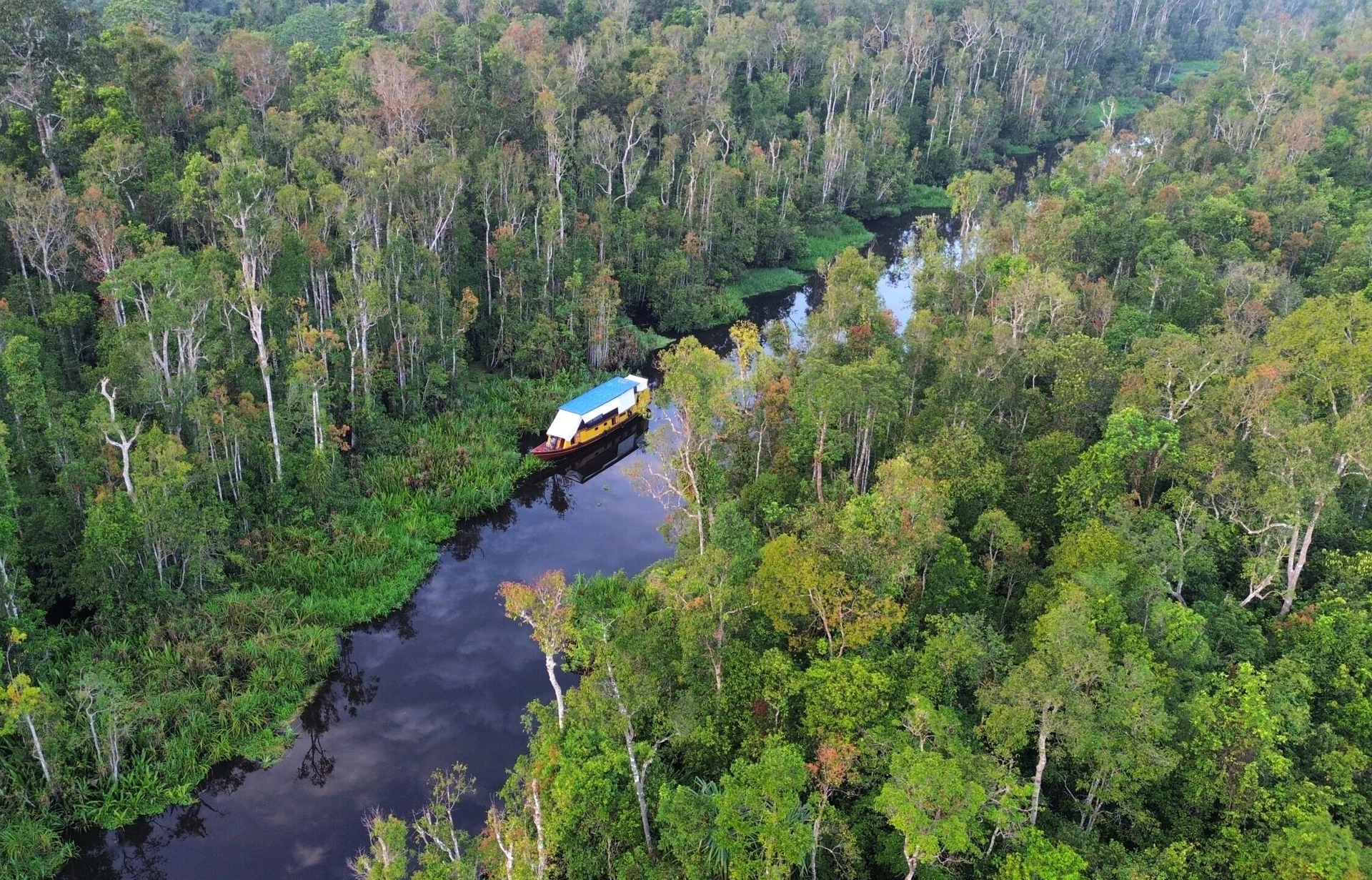 Tanjung Puting