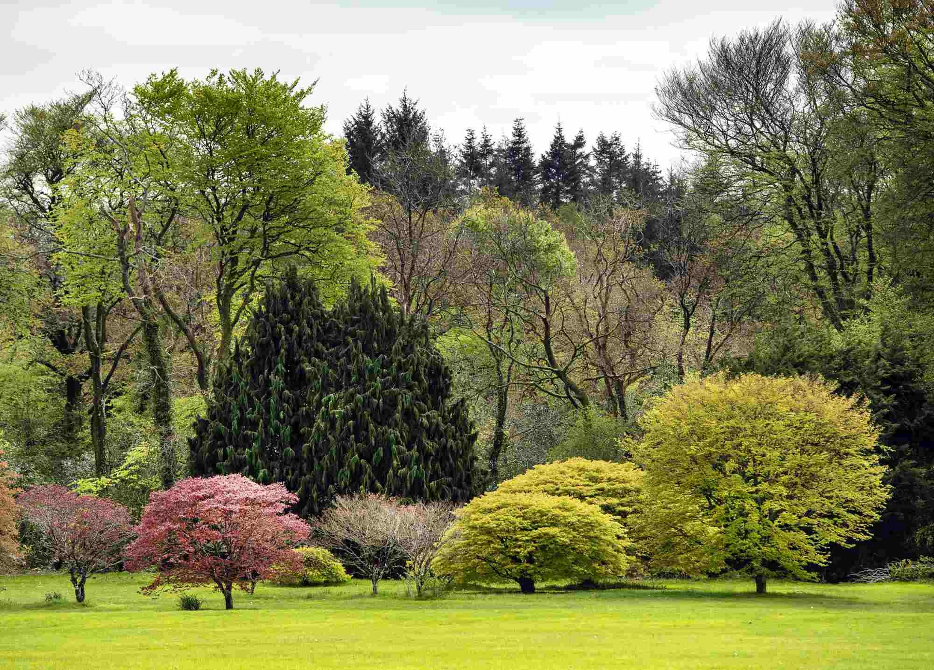 John F. Kennedy Arboretum