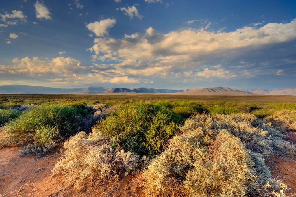 Tankwa Karoo