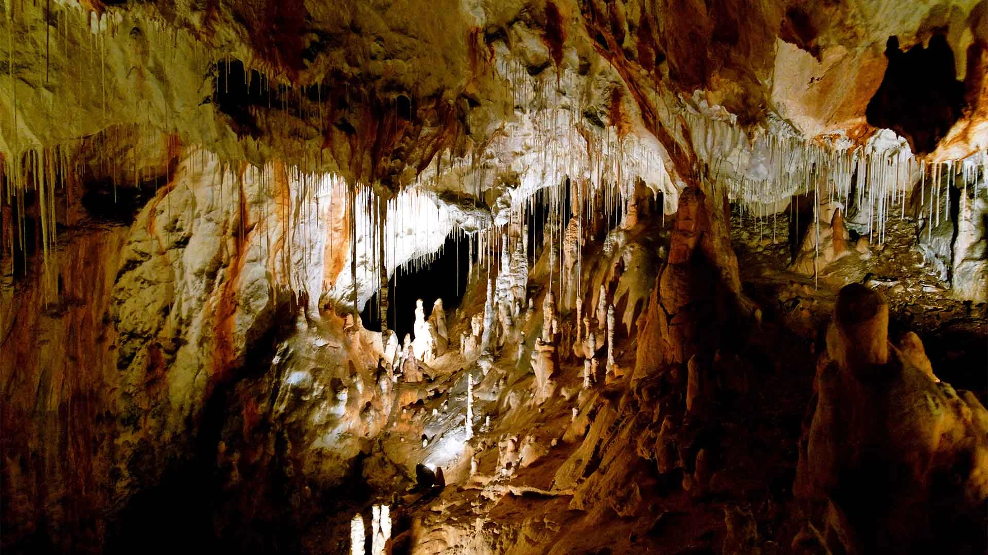 Slovenský kras