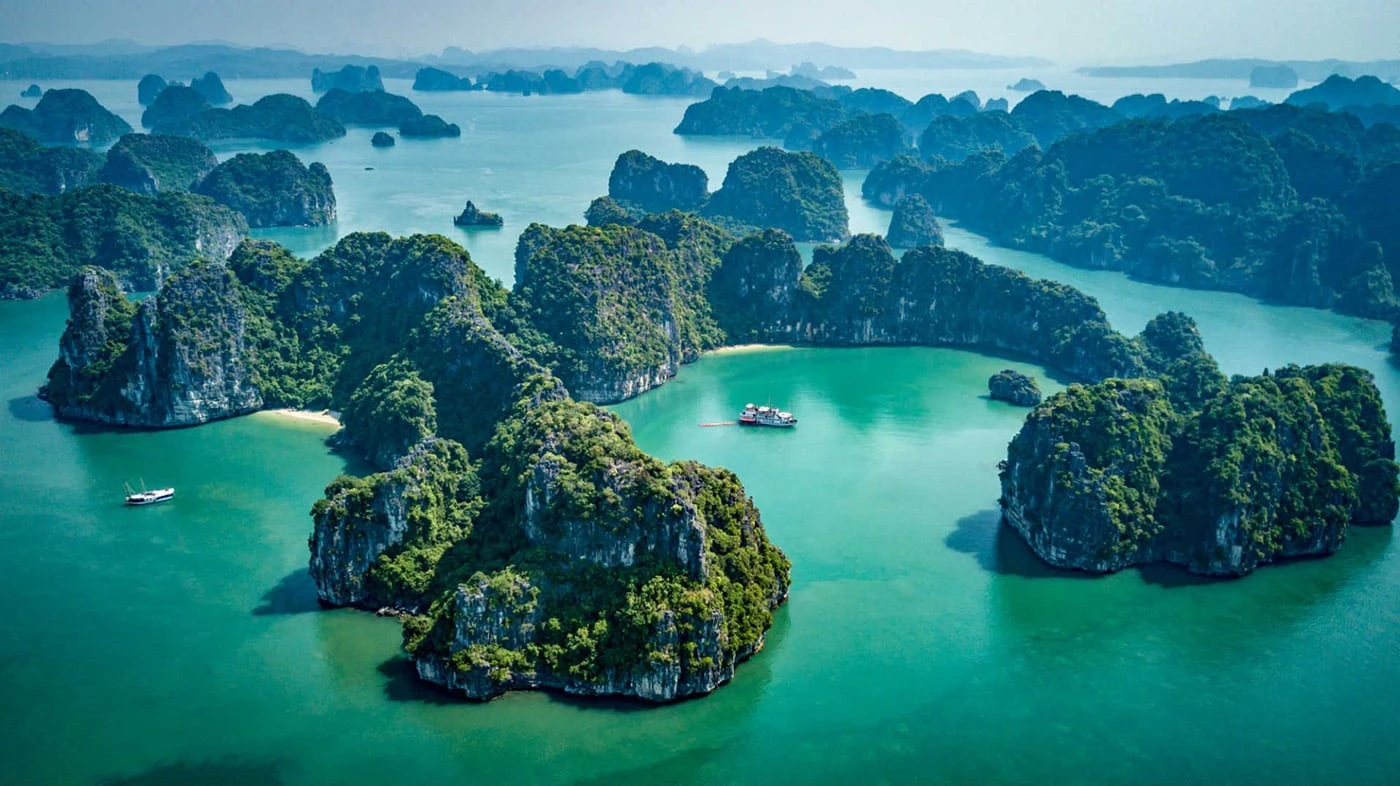 Bai Tu Long