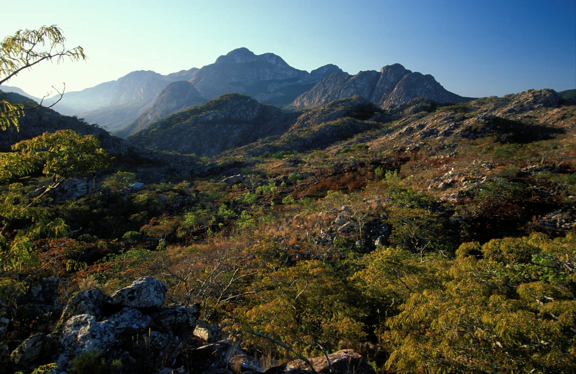 Chimanimani