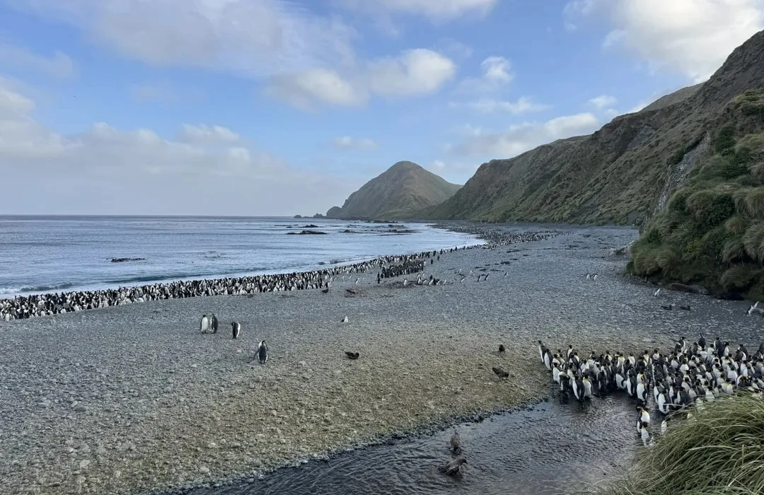 Macquarie Island