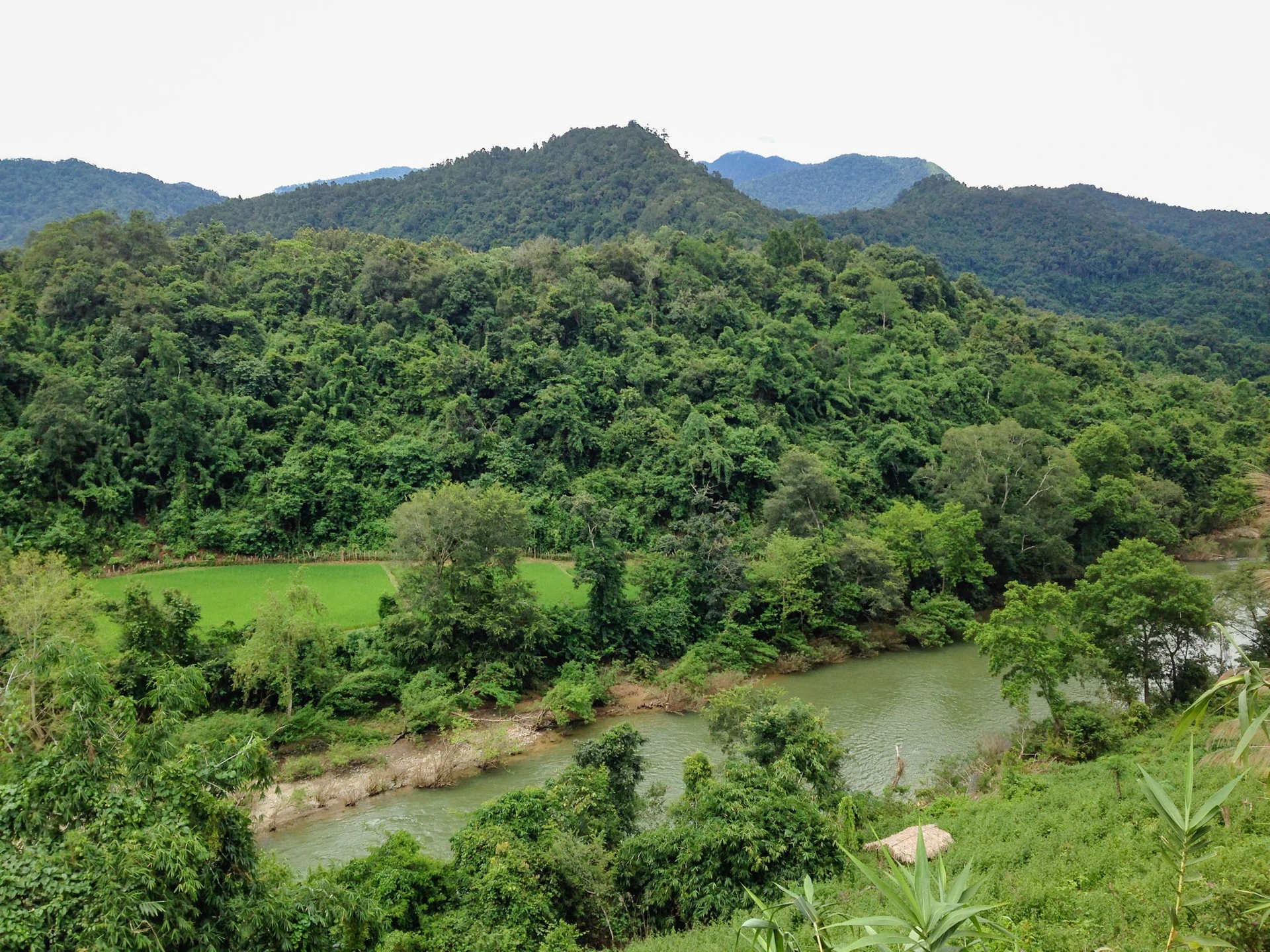 Nam Kading