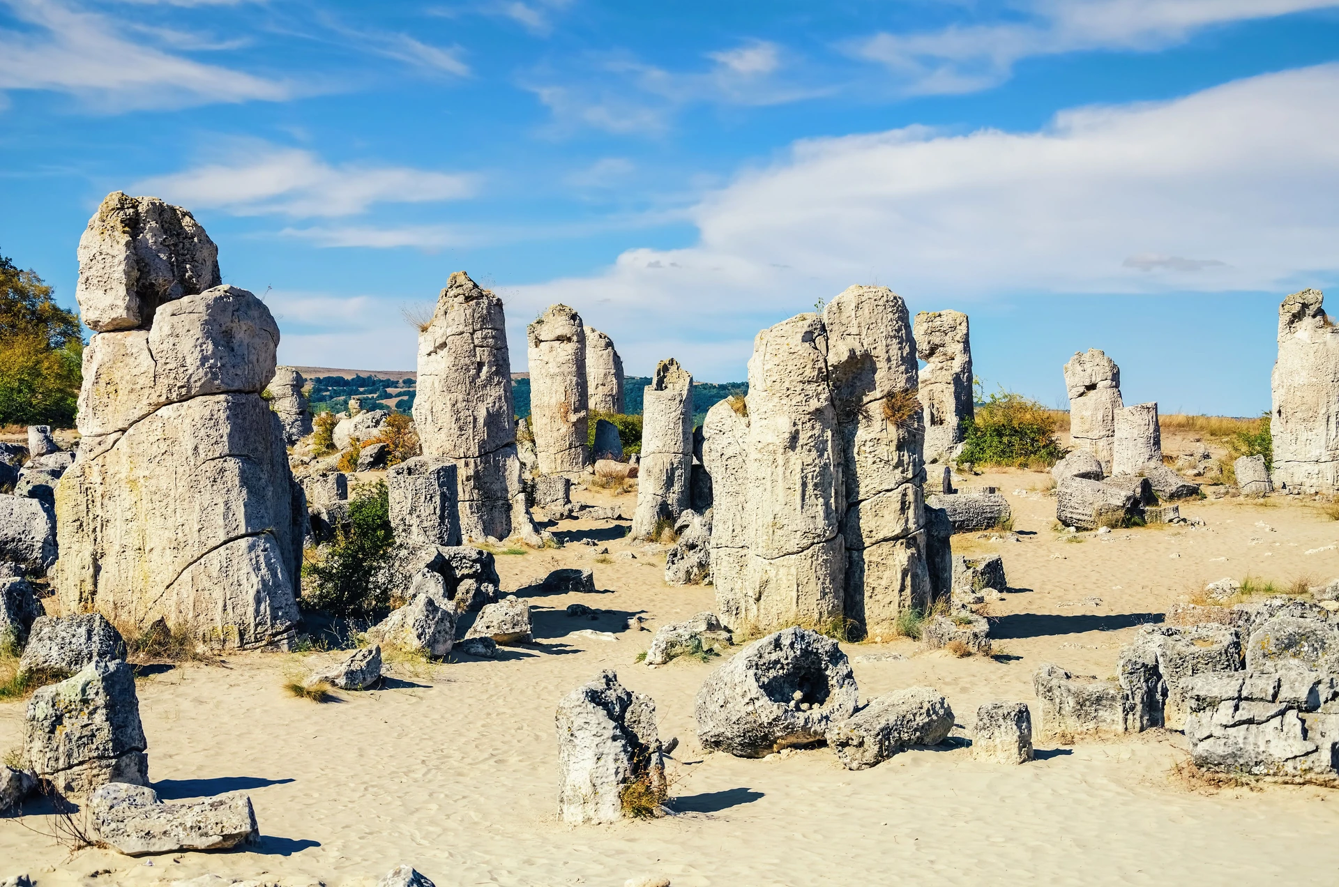 Pobiti Kamani (Stone Forest)
