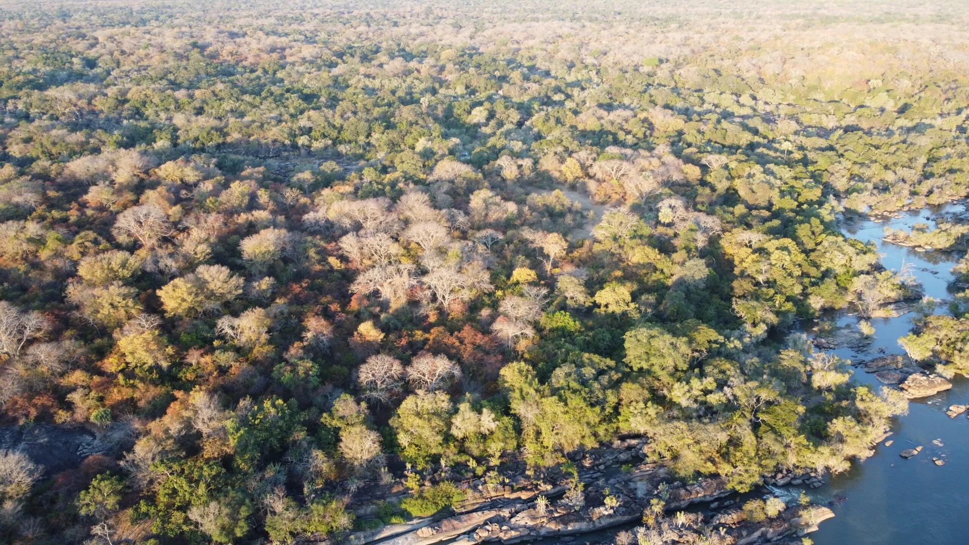 Kafue