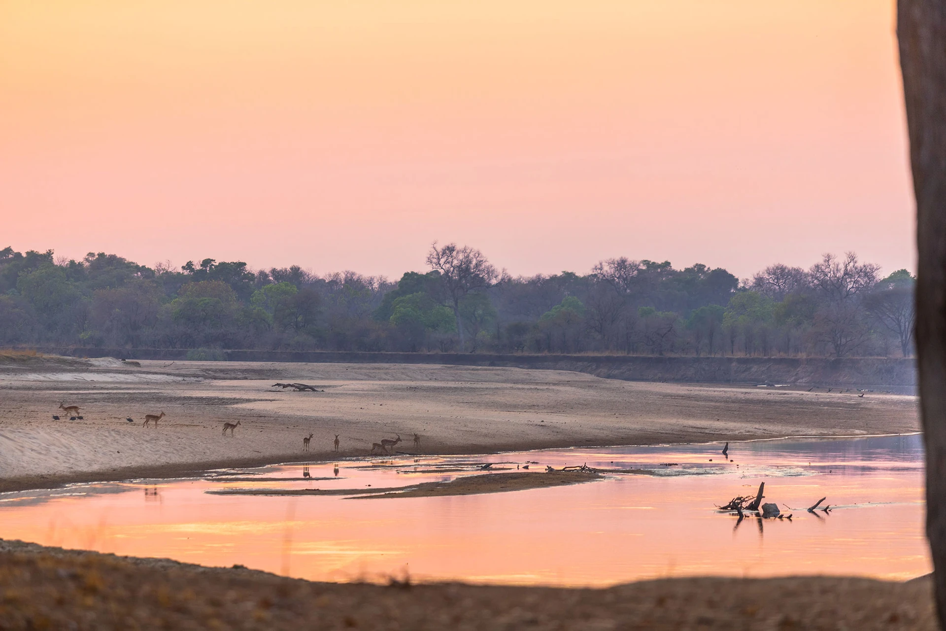 North Luangwa
