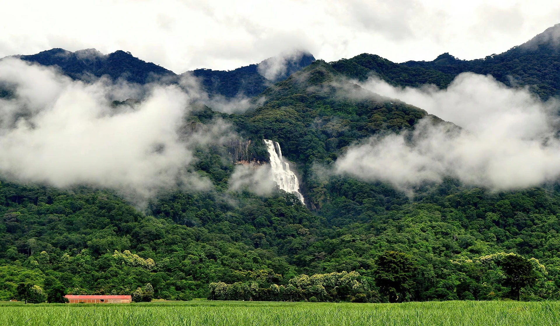 Udzungwa Mountains