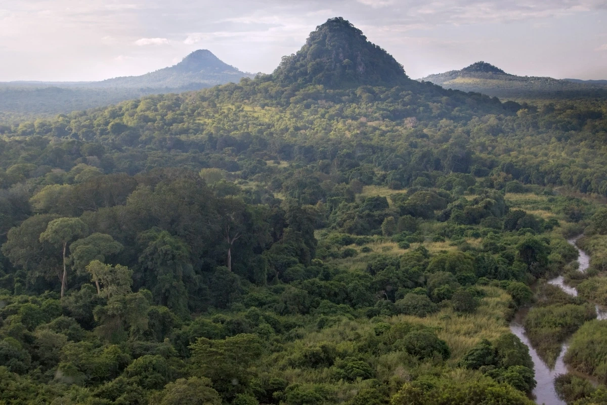 Gorongosa