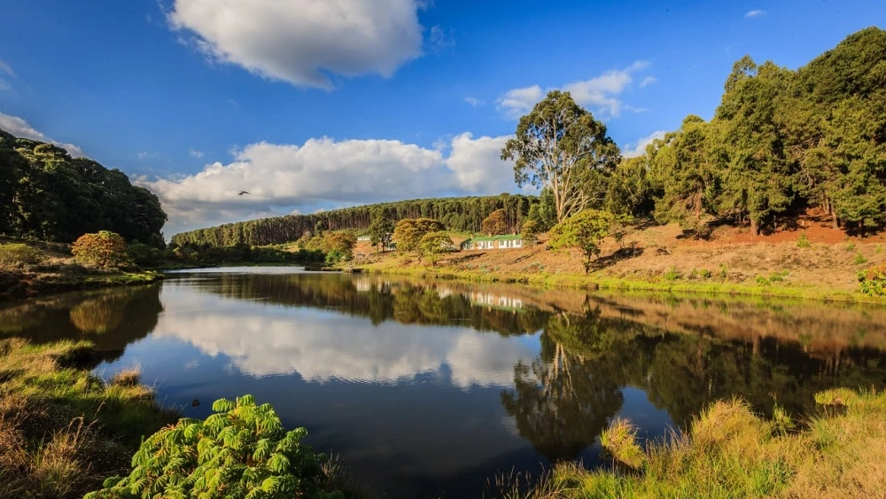 Nyika (Malawi)