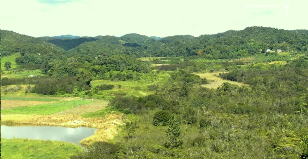 Mason River