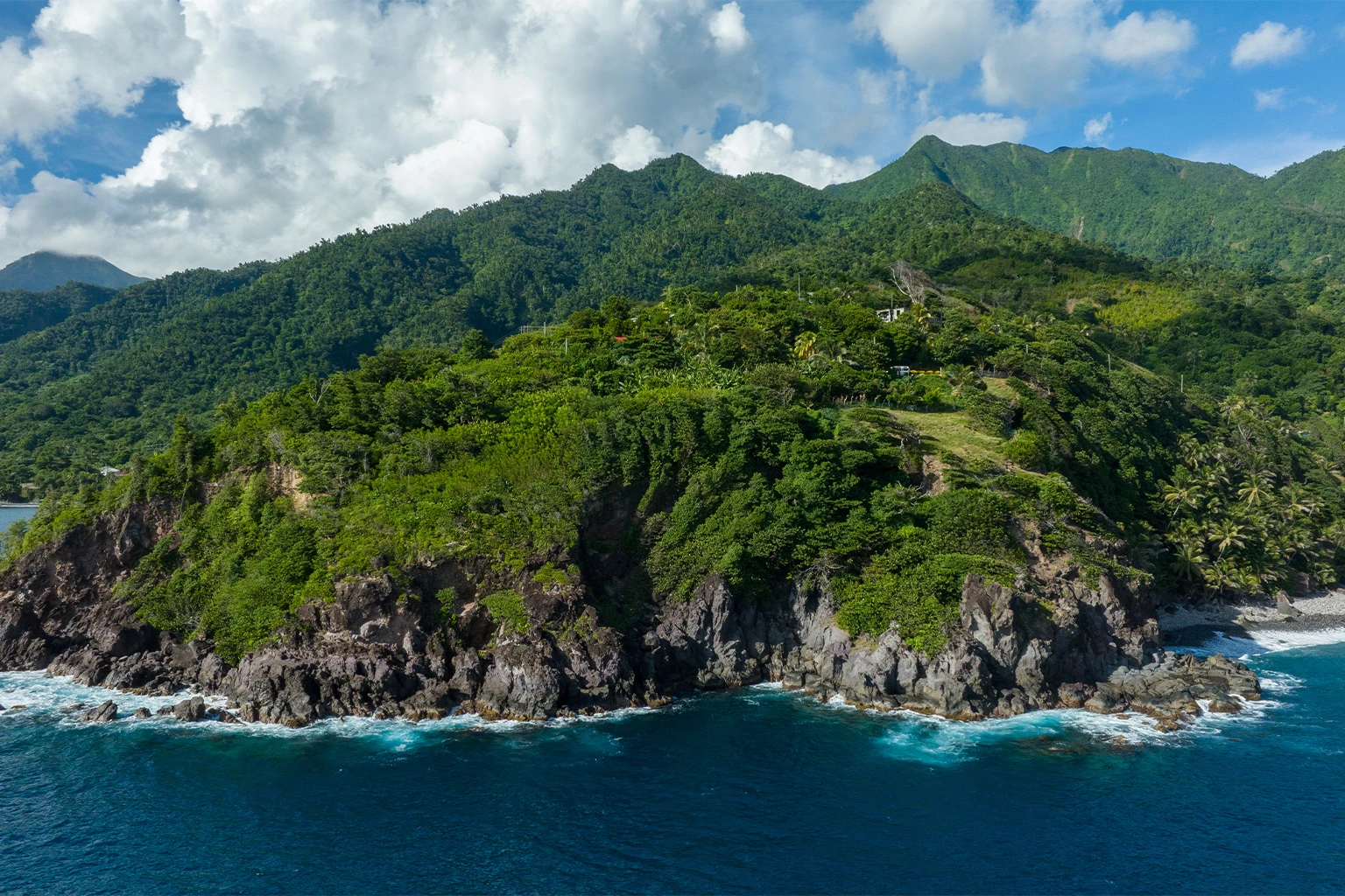 Dominica Sperm Whale Reserve