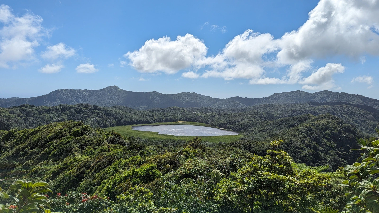 Grand Etang