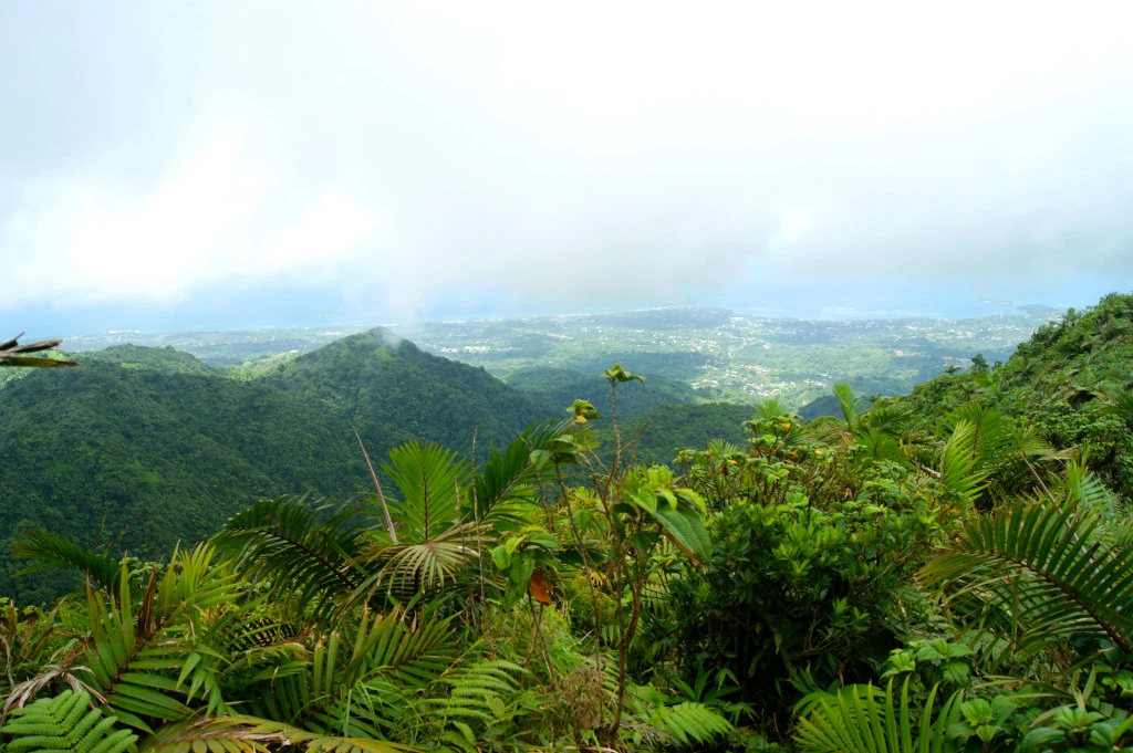 Mt. St. Catherine