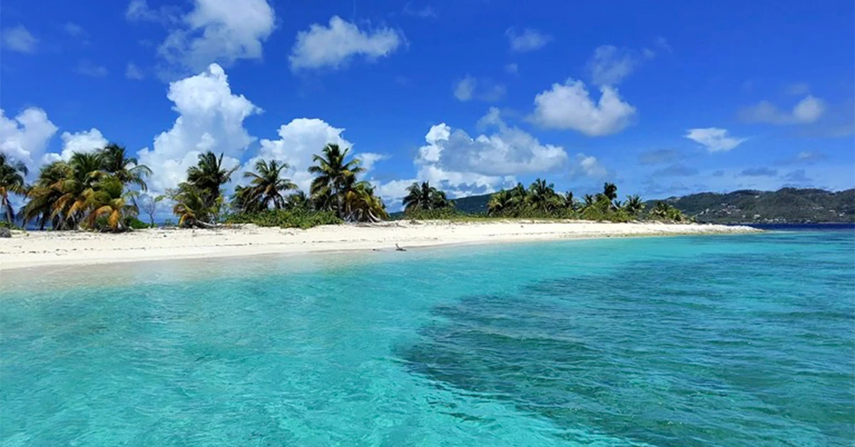 Sandy Island-Oyster Bed