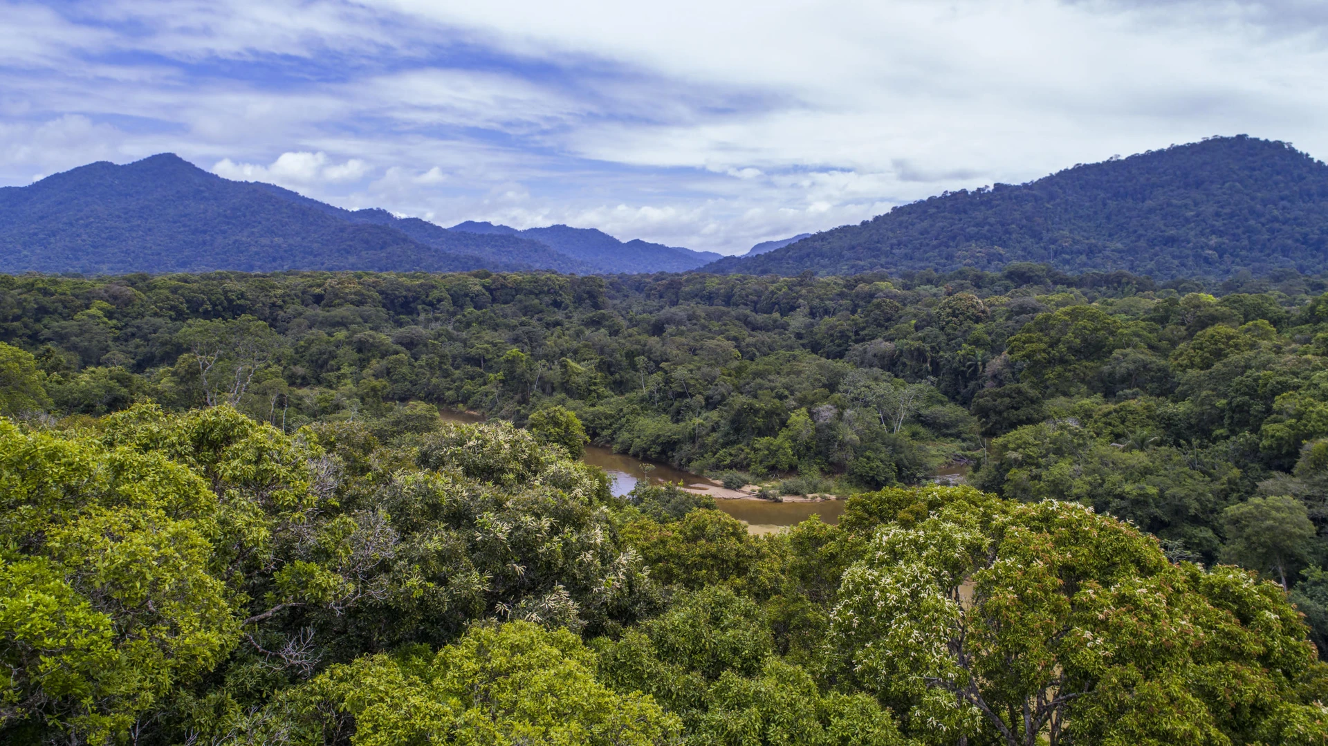 Kanuku Mountains