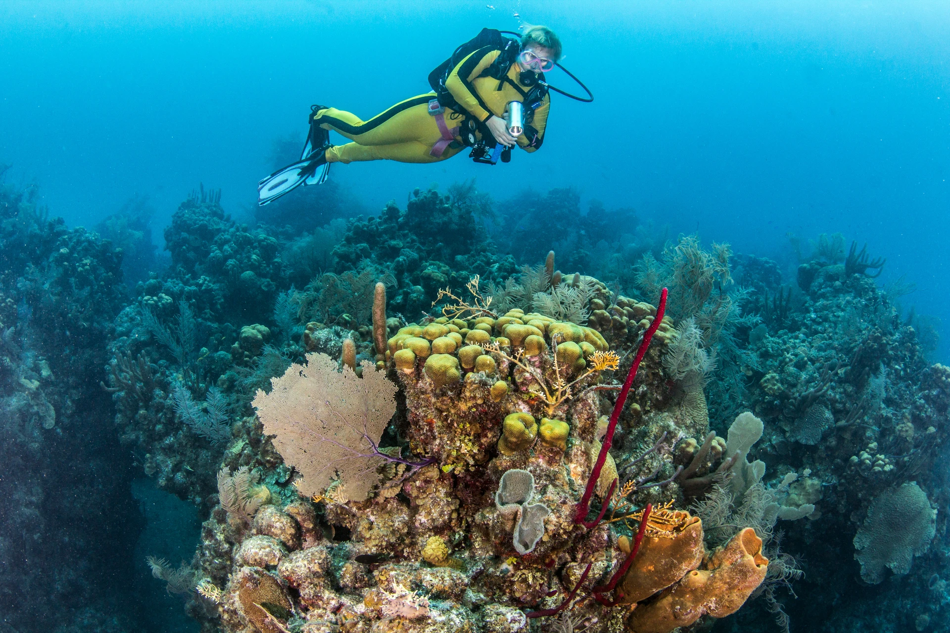 Glover's Reef