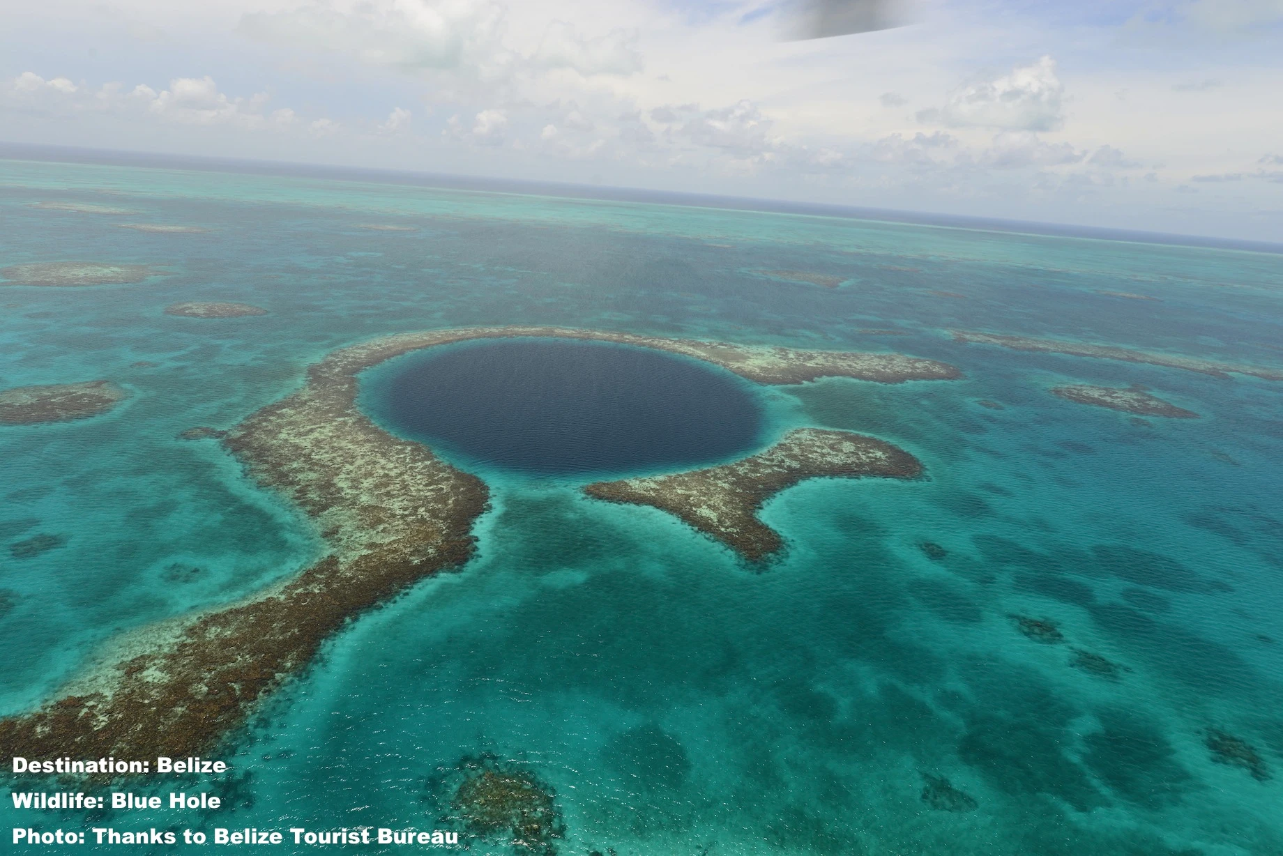 Gladden Spit and Silk Cayes