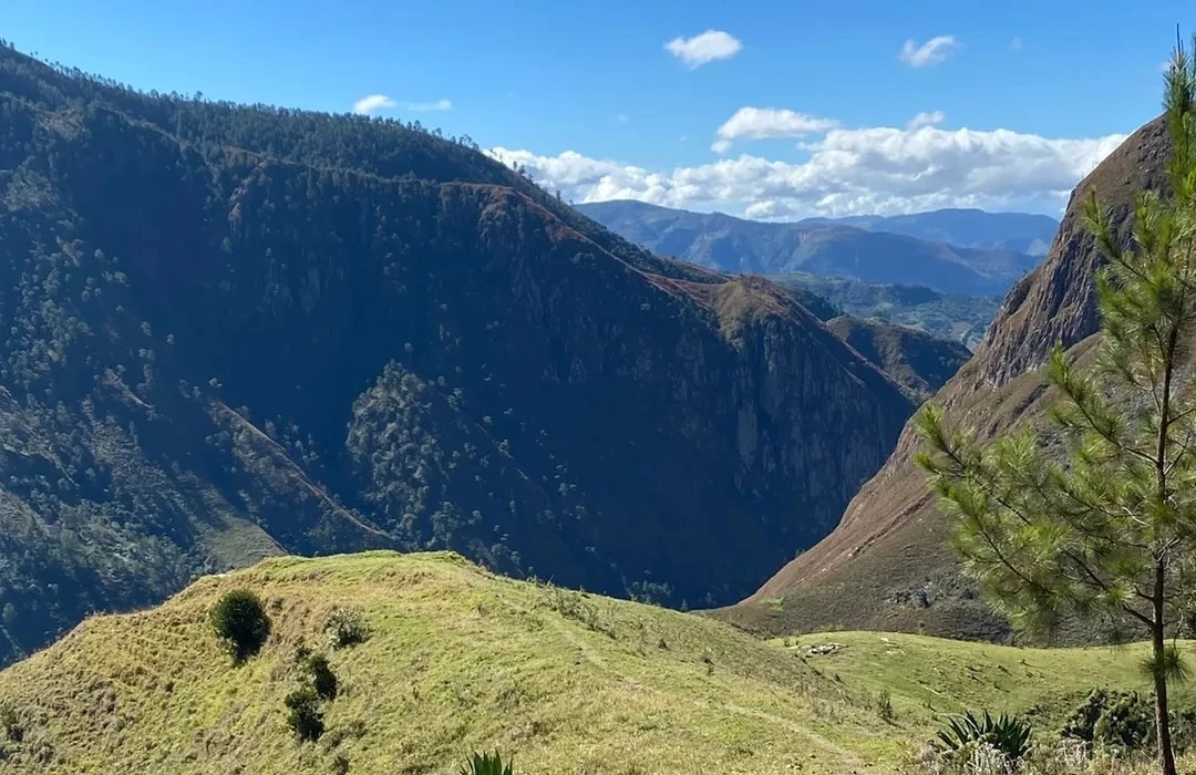 Valle Nuevo
