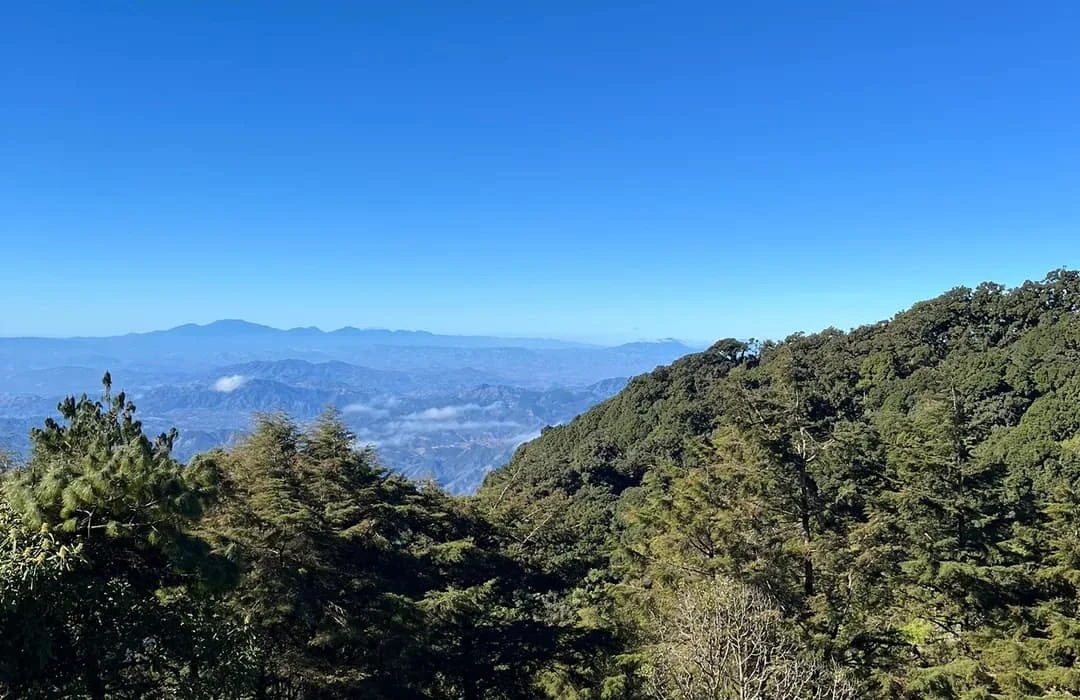 Cerro El Pital