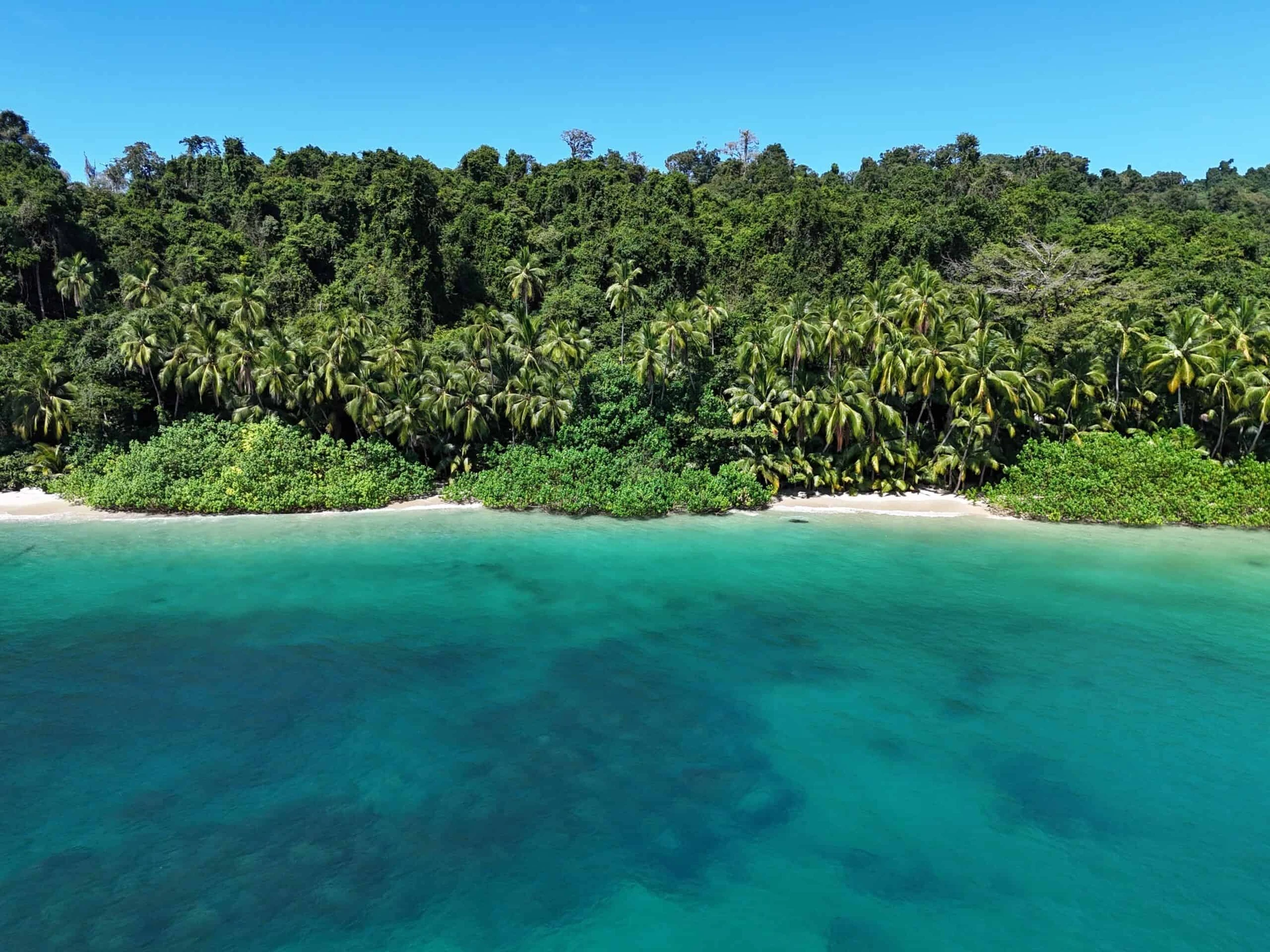 Coiba