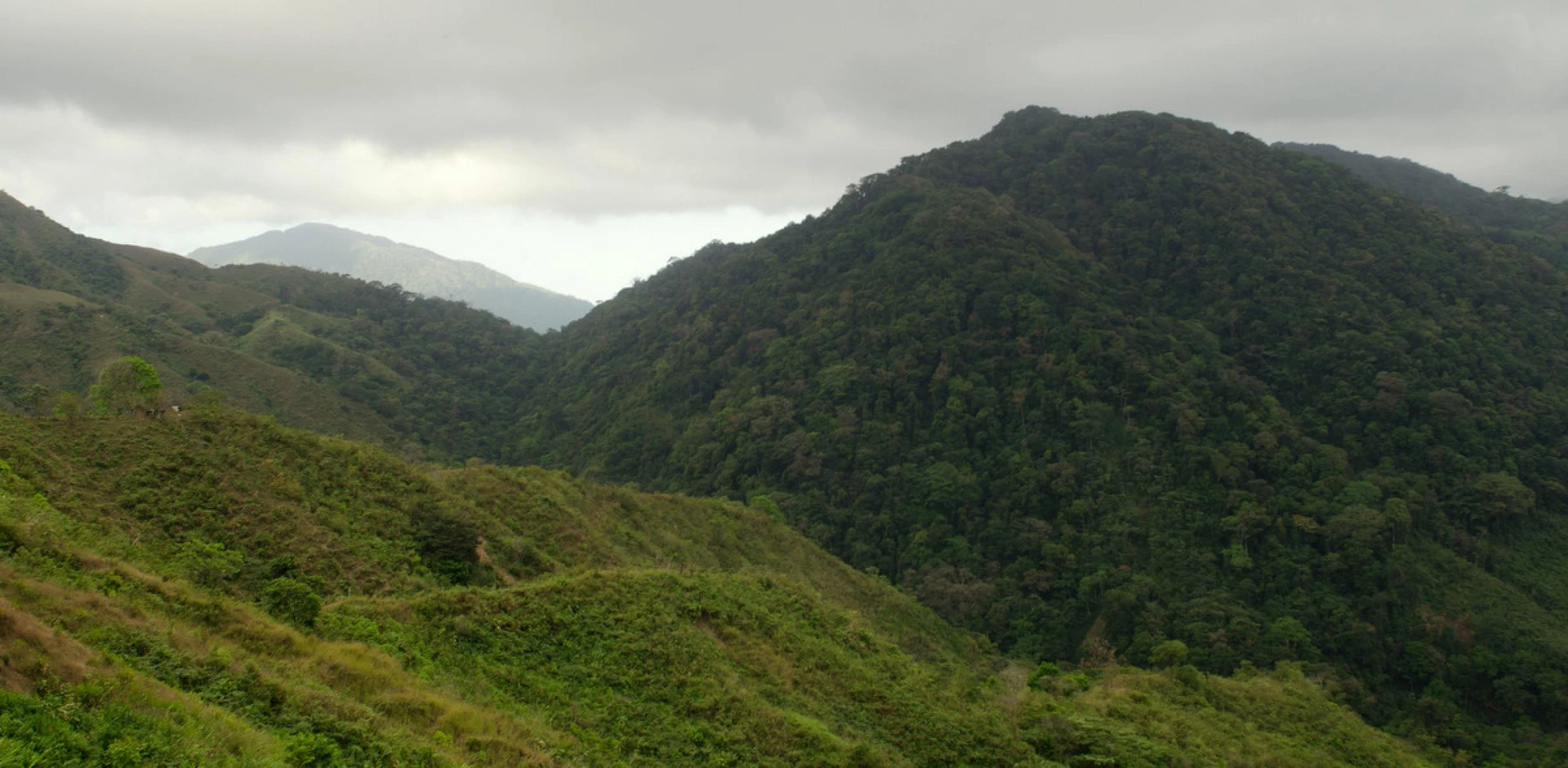 Cerro Hoya