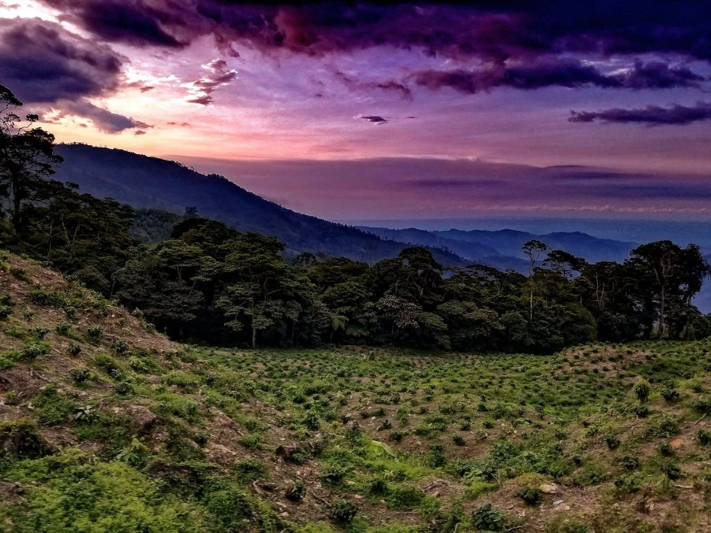 Cusuco