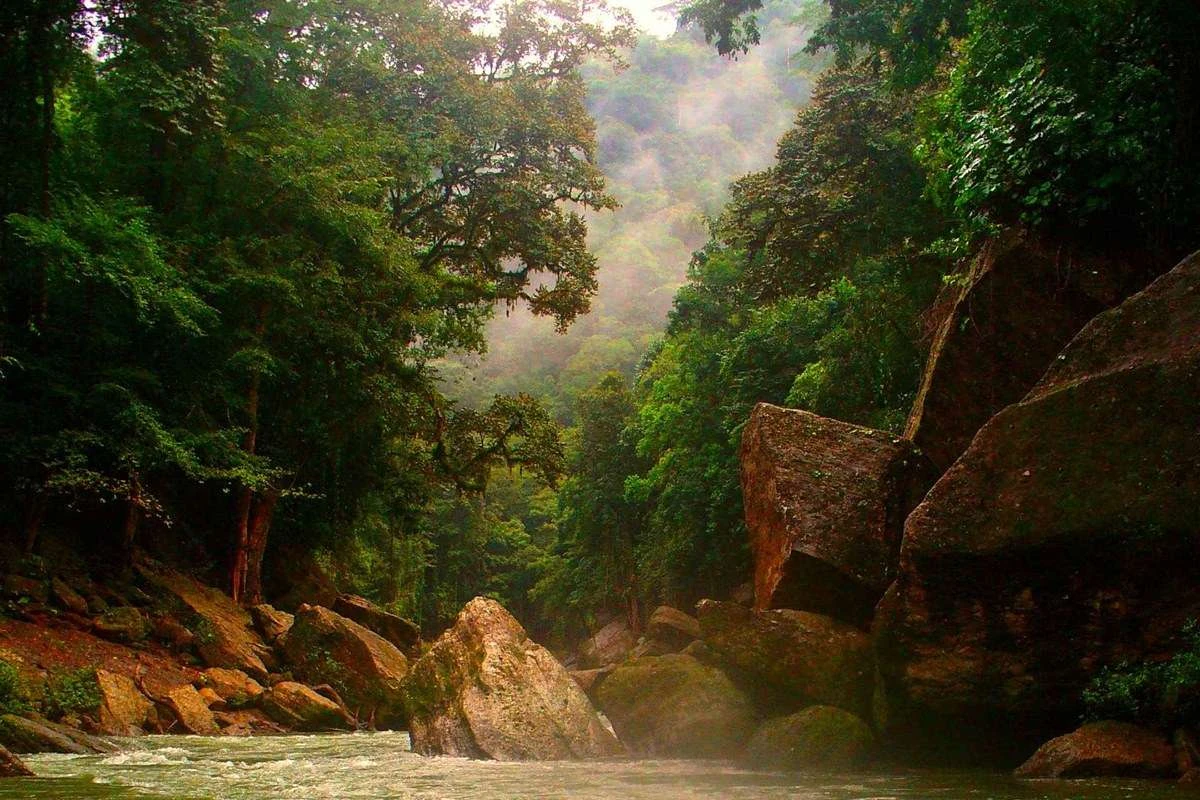 Río Plátano
