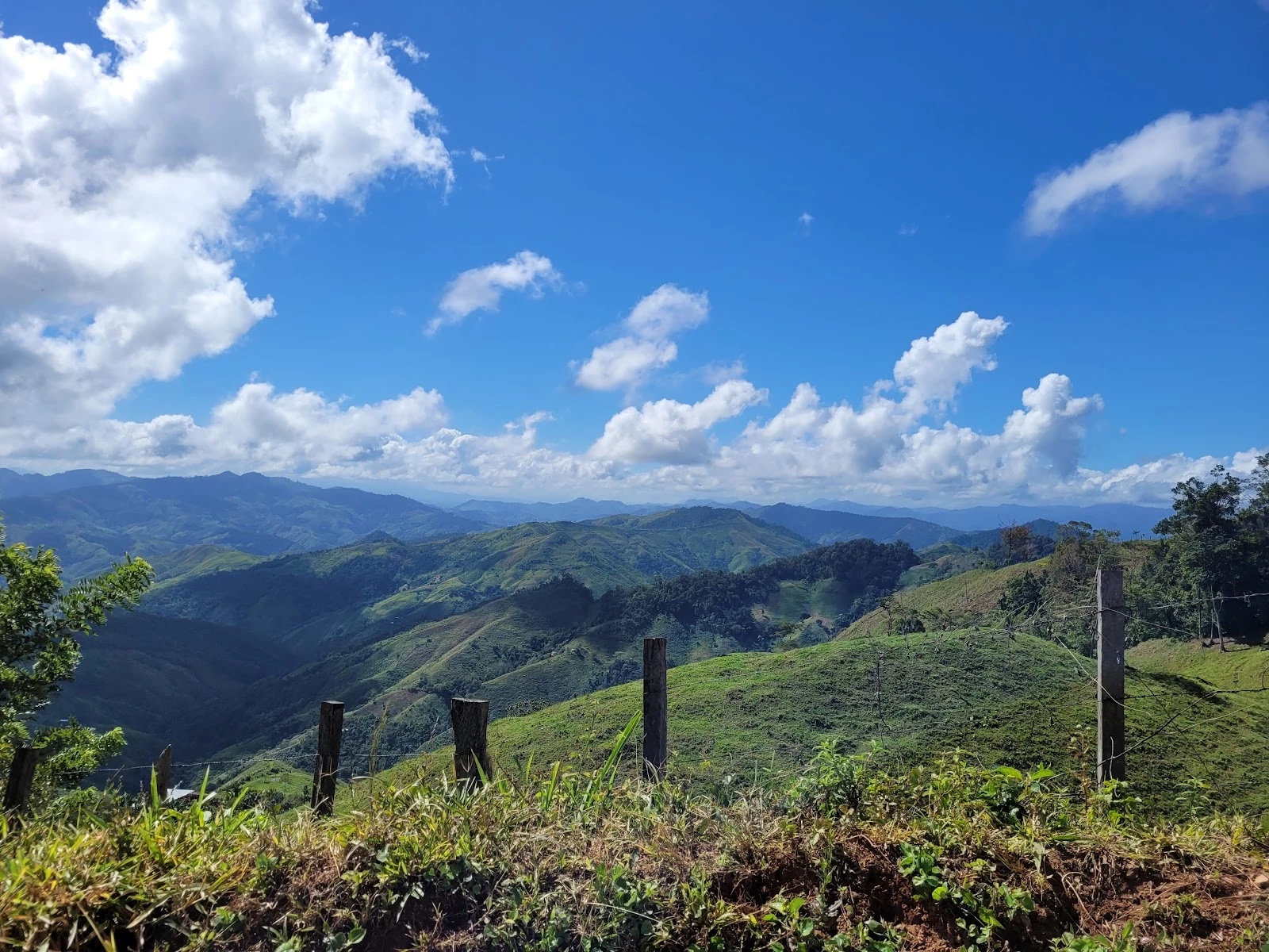 Tawahka Asangni