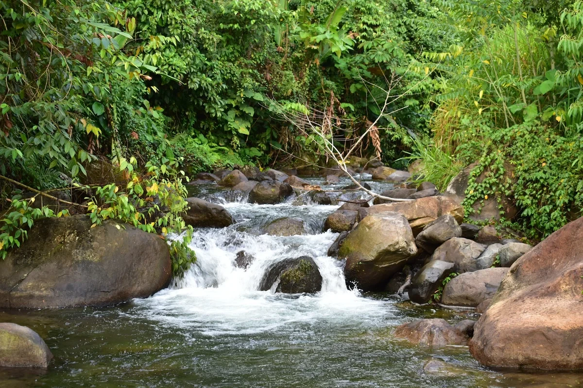 Cerro Saslaya