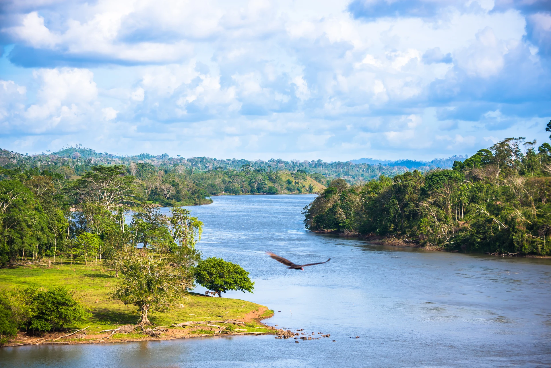 Río San Juan