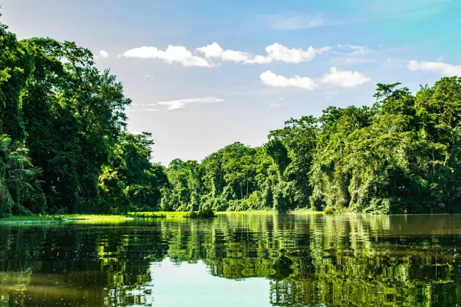 Tortuguero