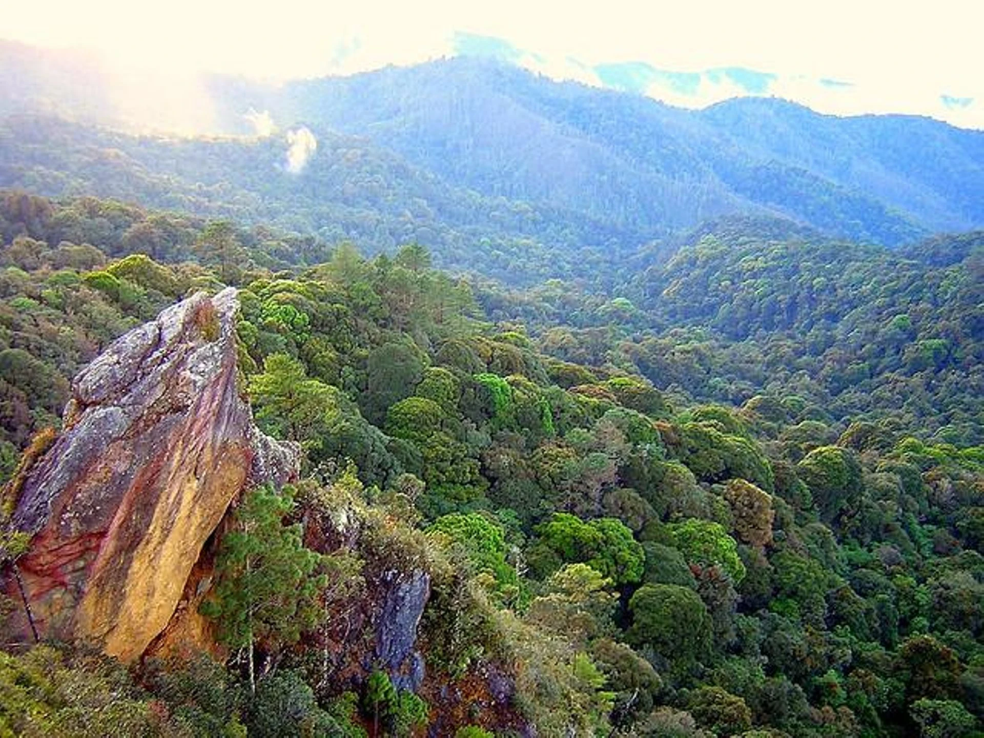 Sierra de las Minas
