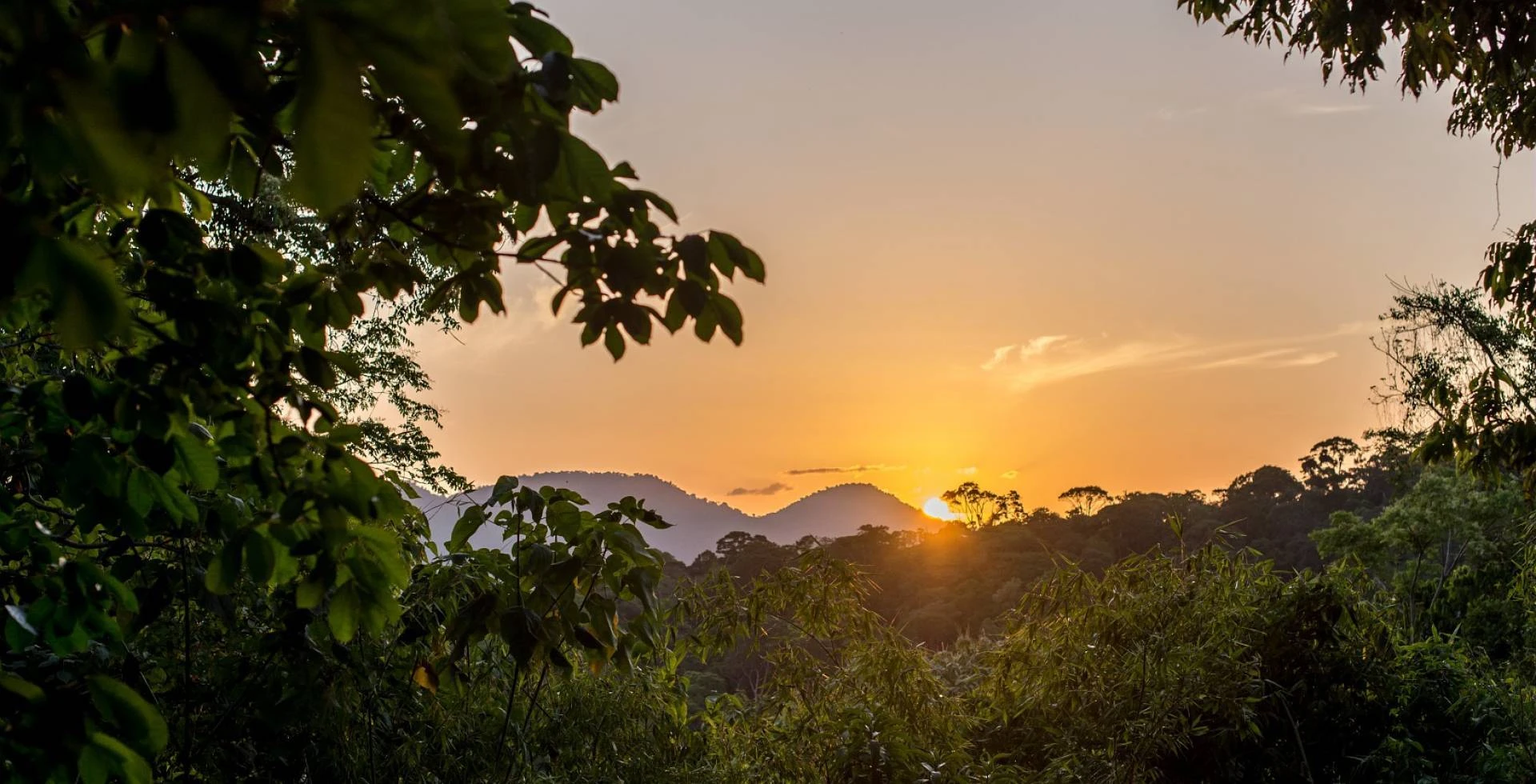 Guyane