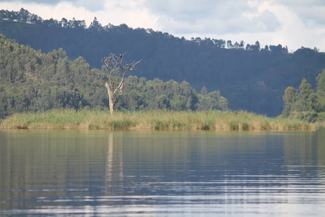 Lake Nabugabo