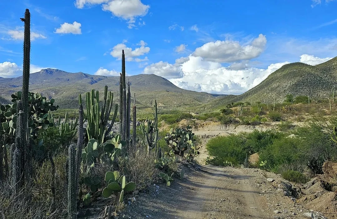 Tehuacán-Cuicatlán