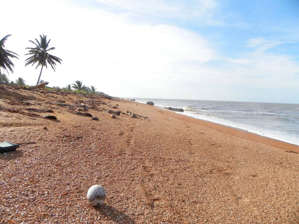 Shell Beach