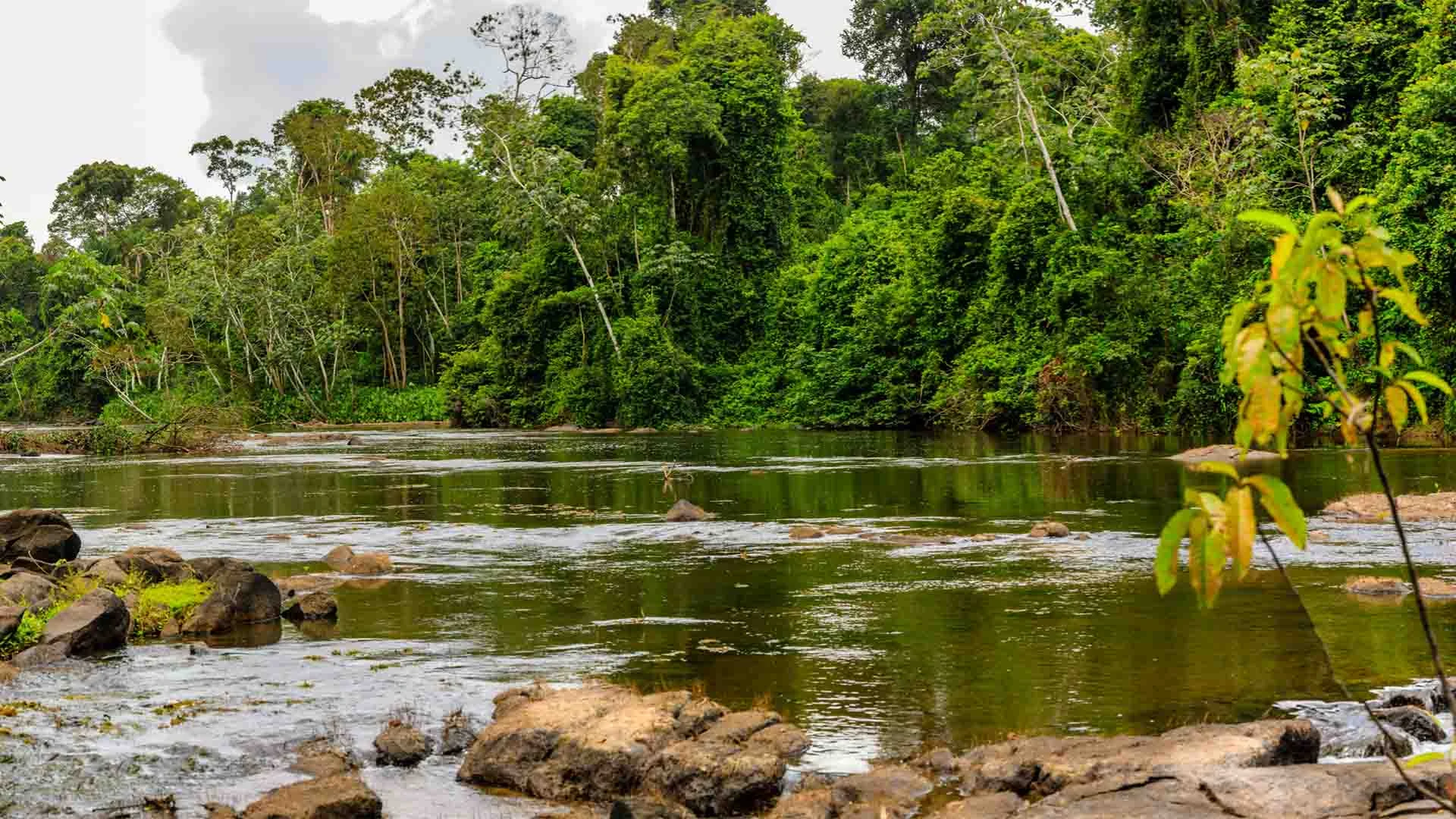 Central Suriname
